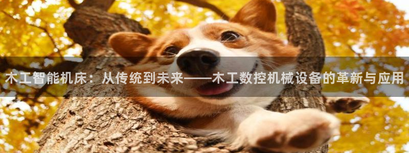 天辰a娱乐