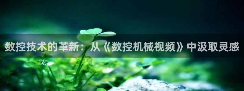 天辰娱乐简介