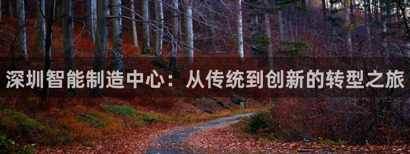 天辰宝宝娱乐