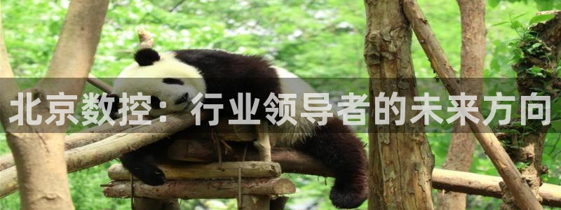 天辰娱乐首页