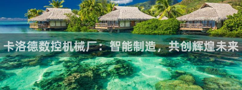 天辰娱乐 44516