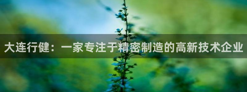 天辰娱乐 . 鱼刺