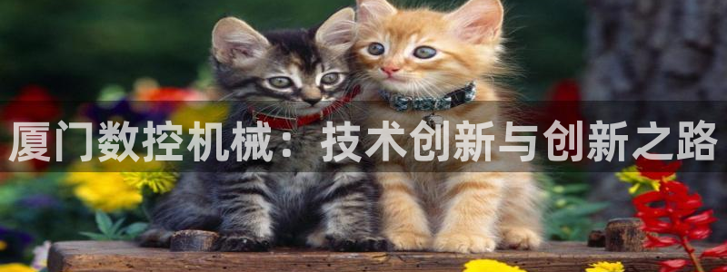 天辰娱乐老板