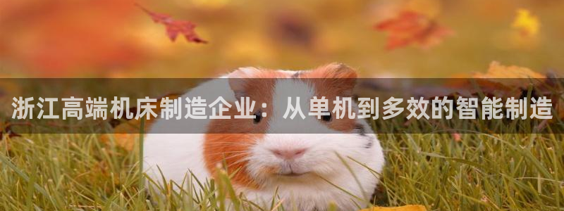 天辰娱乐分红