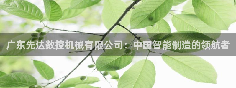 天辰娱乐反水：广东先达数控机械有限公司：中国智能制造的领航者