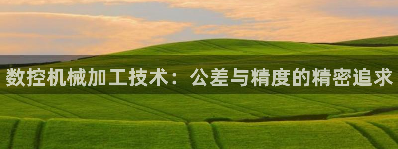 天辰娱乐小妹