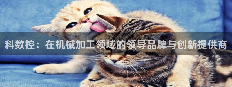 哈尔滨天辰娱乐
