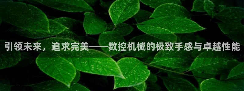 天辰娱乐欢乐：引领未来，追求完美——数控机械的极致手感与卓越性能