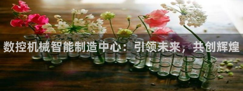 天辰娱乐台湾
