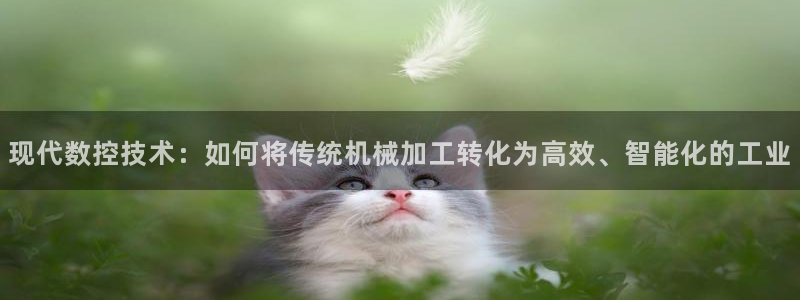 天辰娱乐厕所