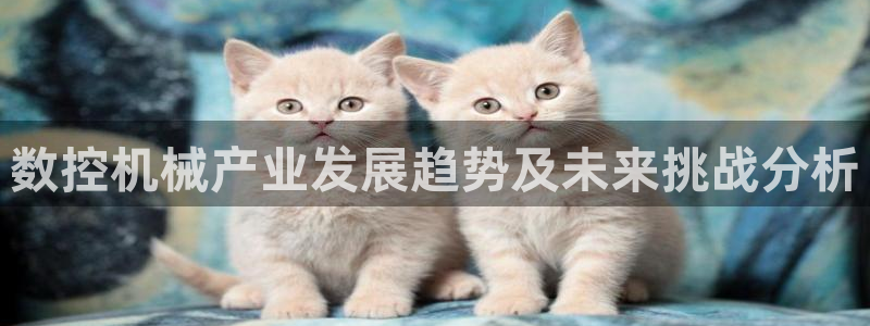 天辰娱乐开户