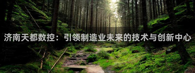 天辰娱乐指定