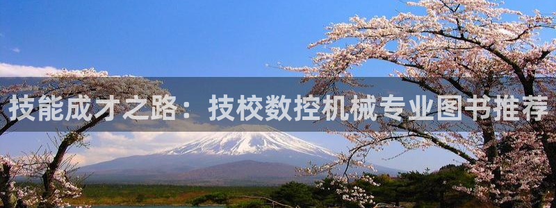 天辰娱乐简介