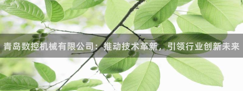天辰娱乐电话