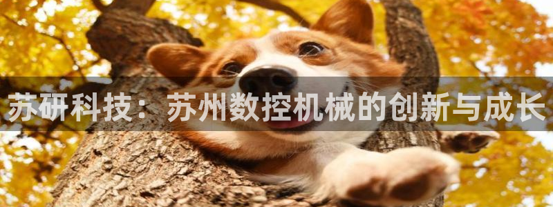 天辰娱乐好吗
