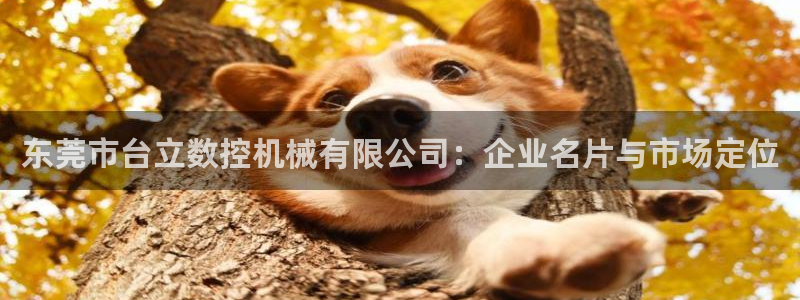 天辰娱乐指定：东莞市台立数控机械有限公司：企业名片与市场定位