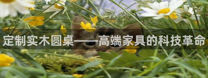 天辰娱乐44516：定制实木圆桌——高端家具的科技革命