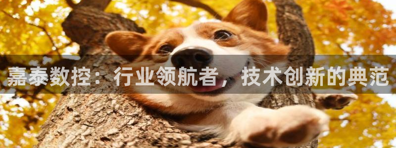 天辰娱乐10086