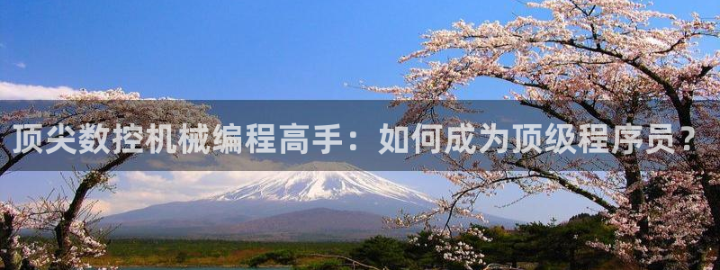 天辰娱乐平台登录账号