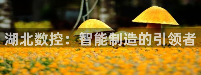 天辰娱乐在线登录注册