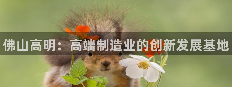 天辰娱乐论坛