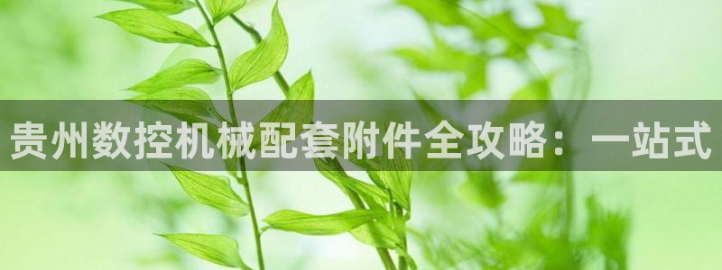 天辰团队贝高娱乐：贵州数控机械配套附件全攻略：一站式