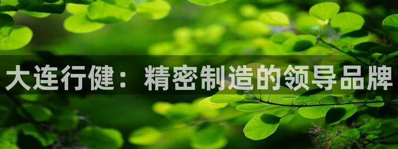 天辰娱乐娱乐注册：大连行健：精密制造的领导品牌