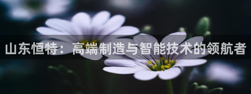 天辰娱乐十分彩