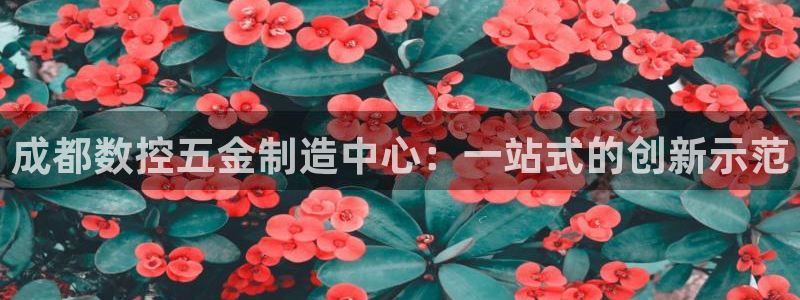 天辰娱乐下载链接