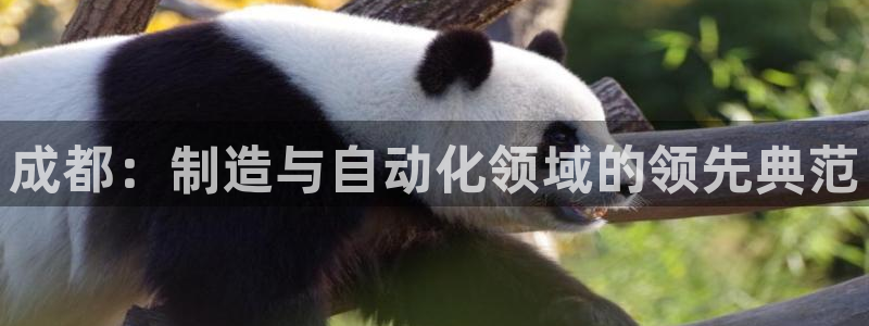 天辰娱乐天辰宝