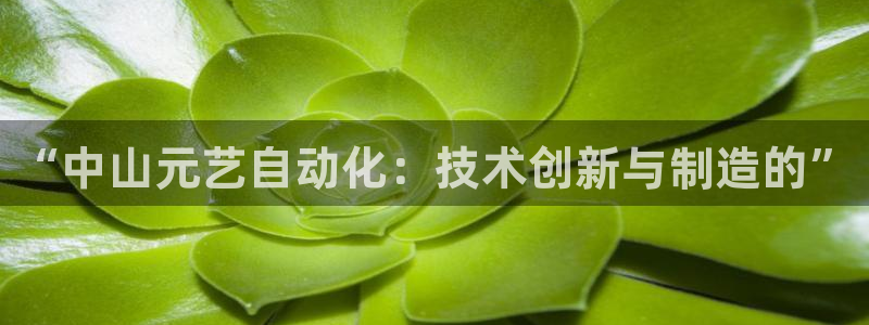 天辰娱乐平台登录账号