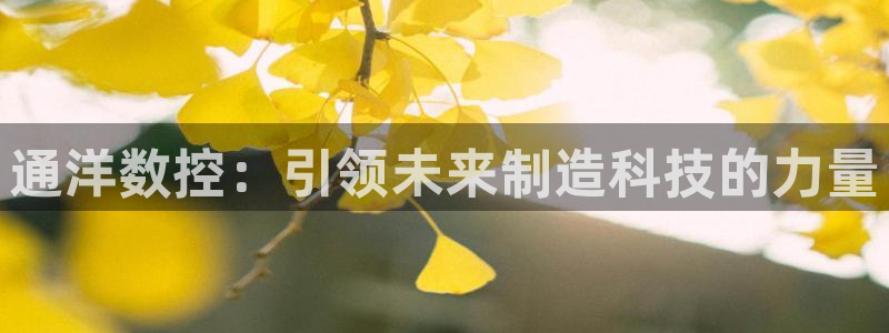 天辰娱乐入口：通洋数控：引领未来制造科技的力量