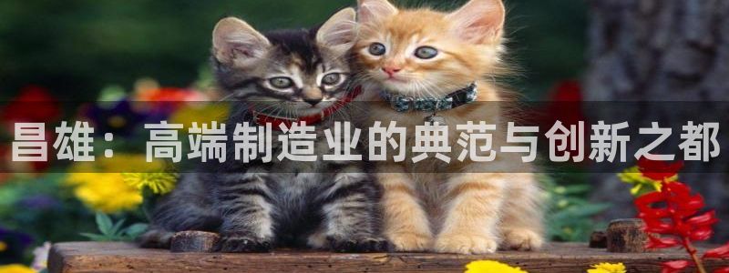 天辰娱乐