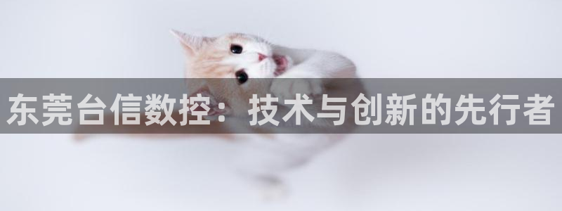 天辰app娱乐