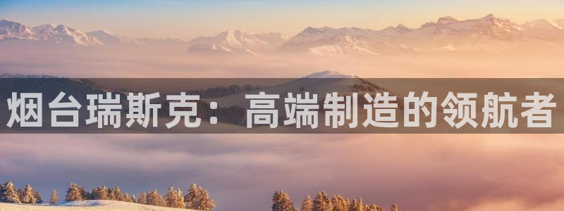 天辰娱乐黑人：烟台瑞斯克：高端制造的领航者