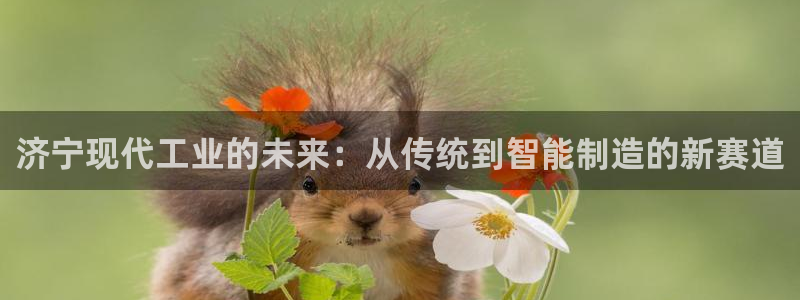 天辰娱乐指定