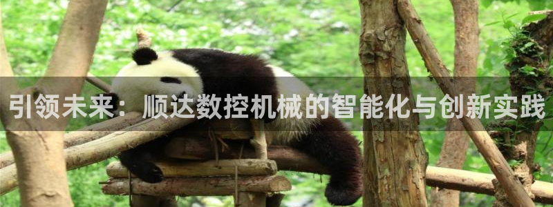 天辰娱乐主管：引领未来：顺达数控机械的智能化与创新实践