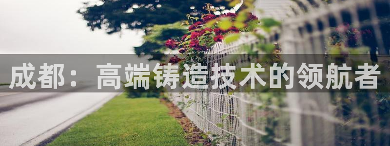 天辰娱乐 qq