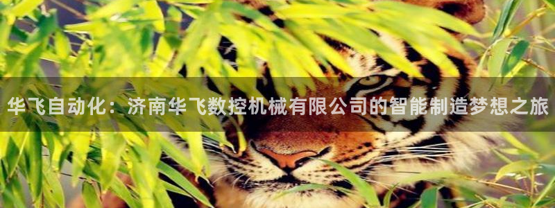 天辰娱乐娱乐平台