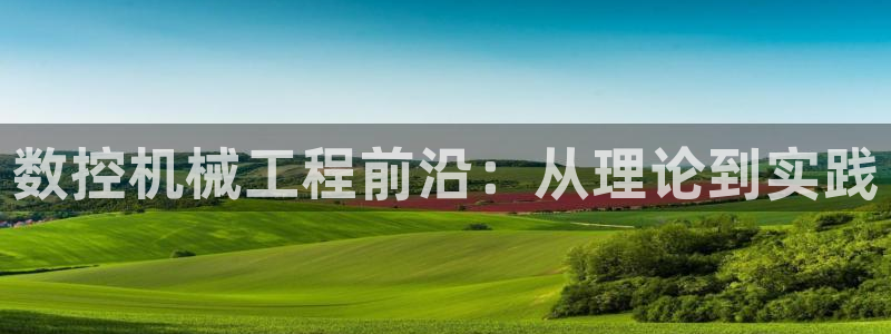 天辰娱乐鱼刺