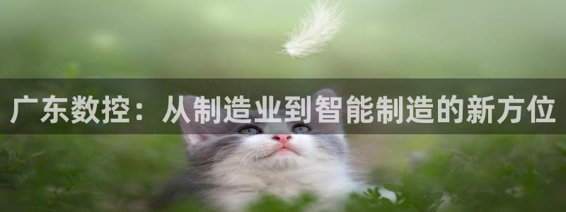 天辰娱乐路线