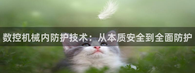 天富娱乐与天辰娱乐