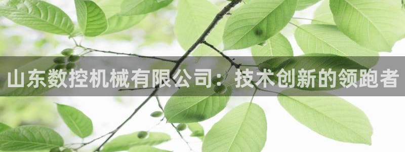 天辰娱乐游戏平台怎么样