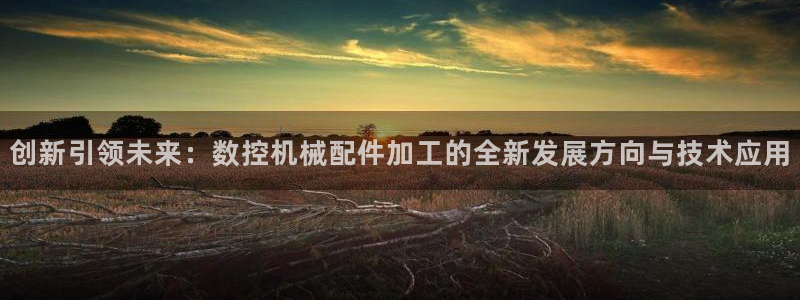 天辰娱乐官方登录下载：创新引领未来：数控机械配件加工的全新发展方向与技术应用